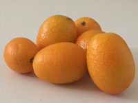 Kumquat - The Alchemy - fruit de saision